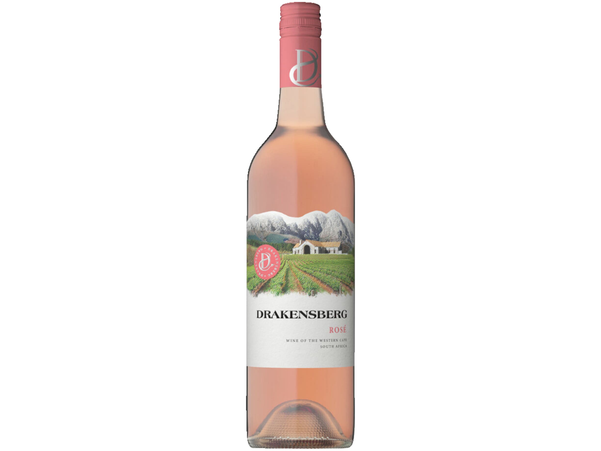 Drakensberg Rose