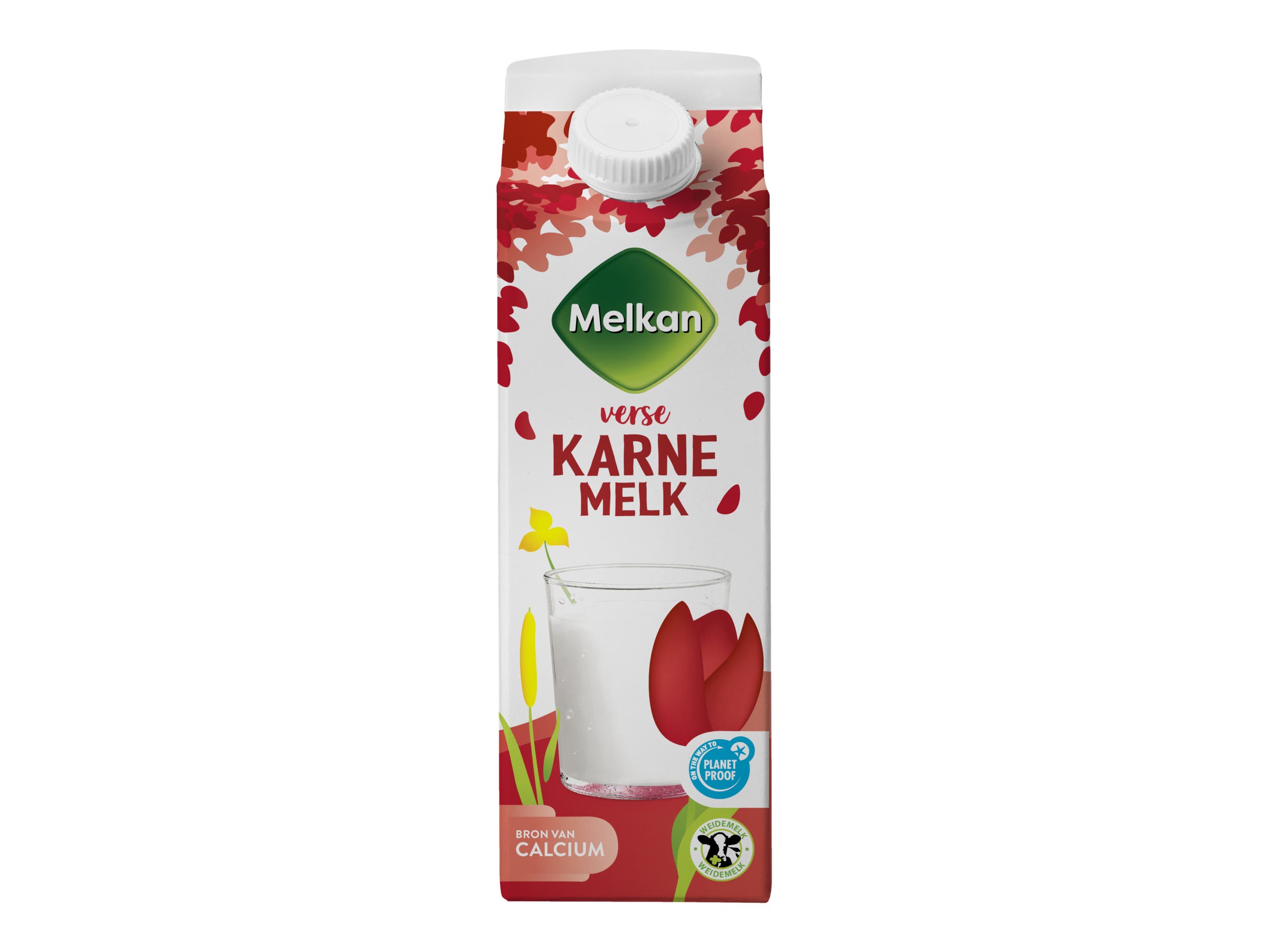 Melkan Verse karnemelk